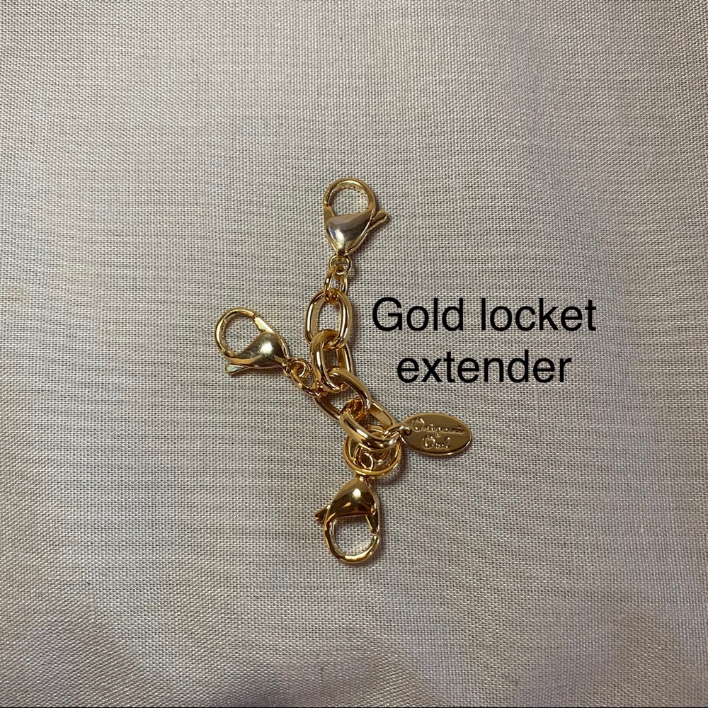 Origami Owl Gold Locket Extender